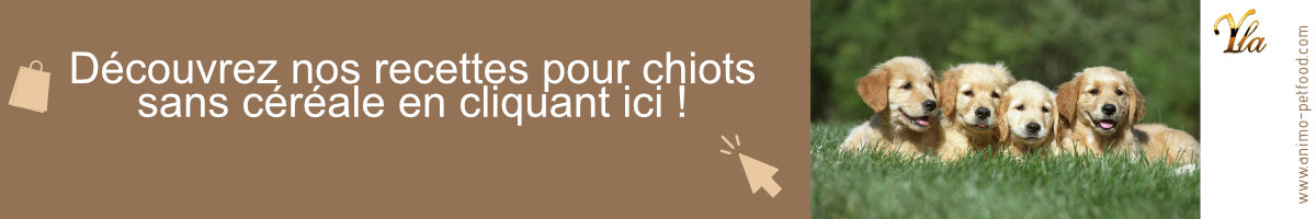 croquettes-sans-cereale-pour-chiot